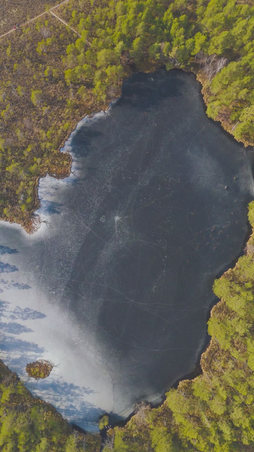 Aerial View of Serene Forest Lake Landscape Free Stock Video Footage ...
