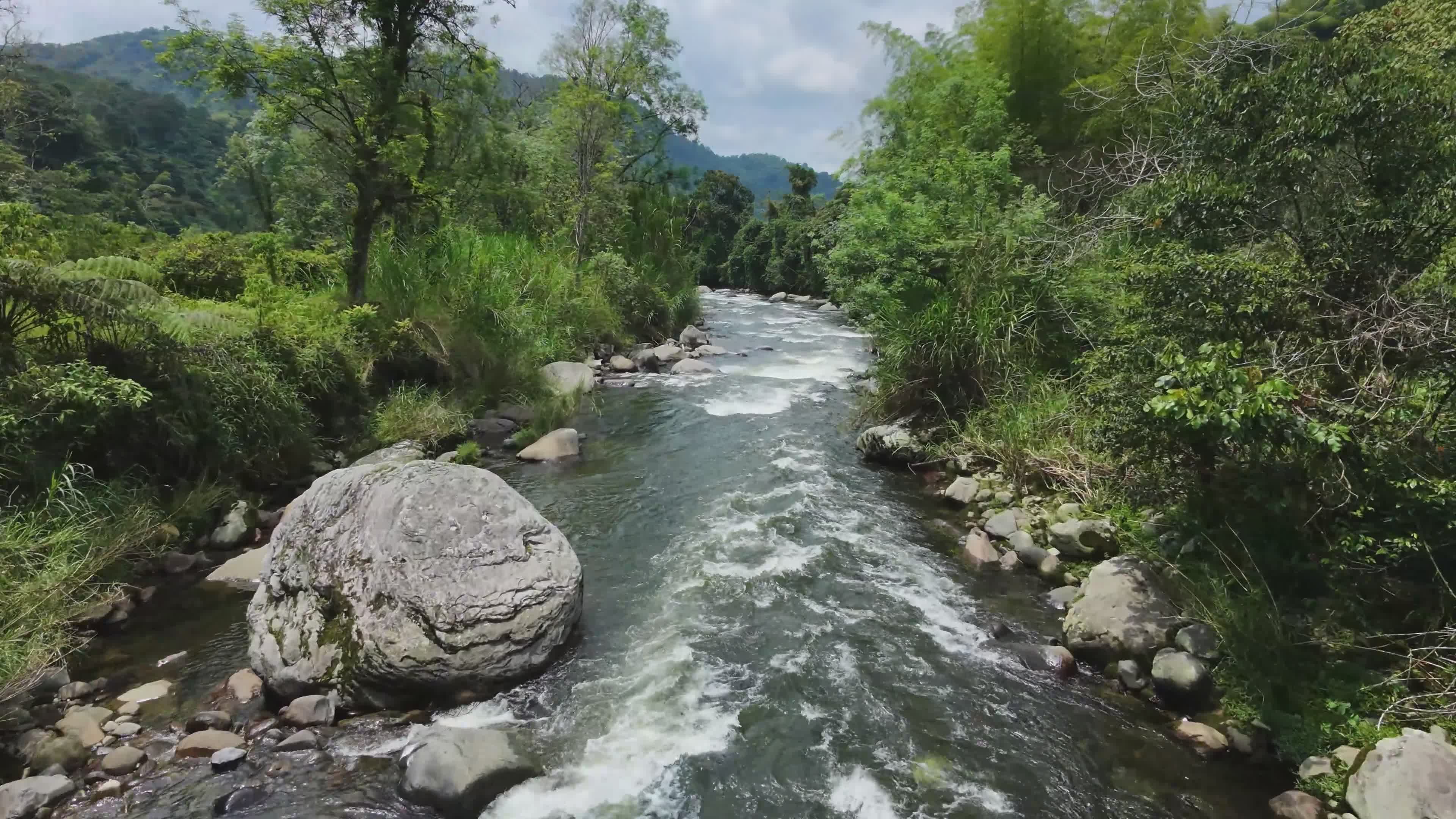 Vista Aérea Del Vibrante Paisaje De Un Río Tropical · Vídeo de stock ...