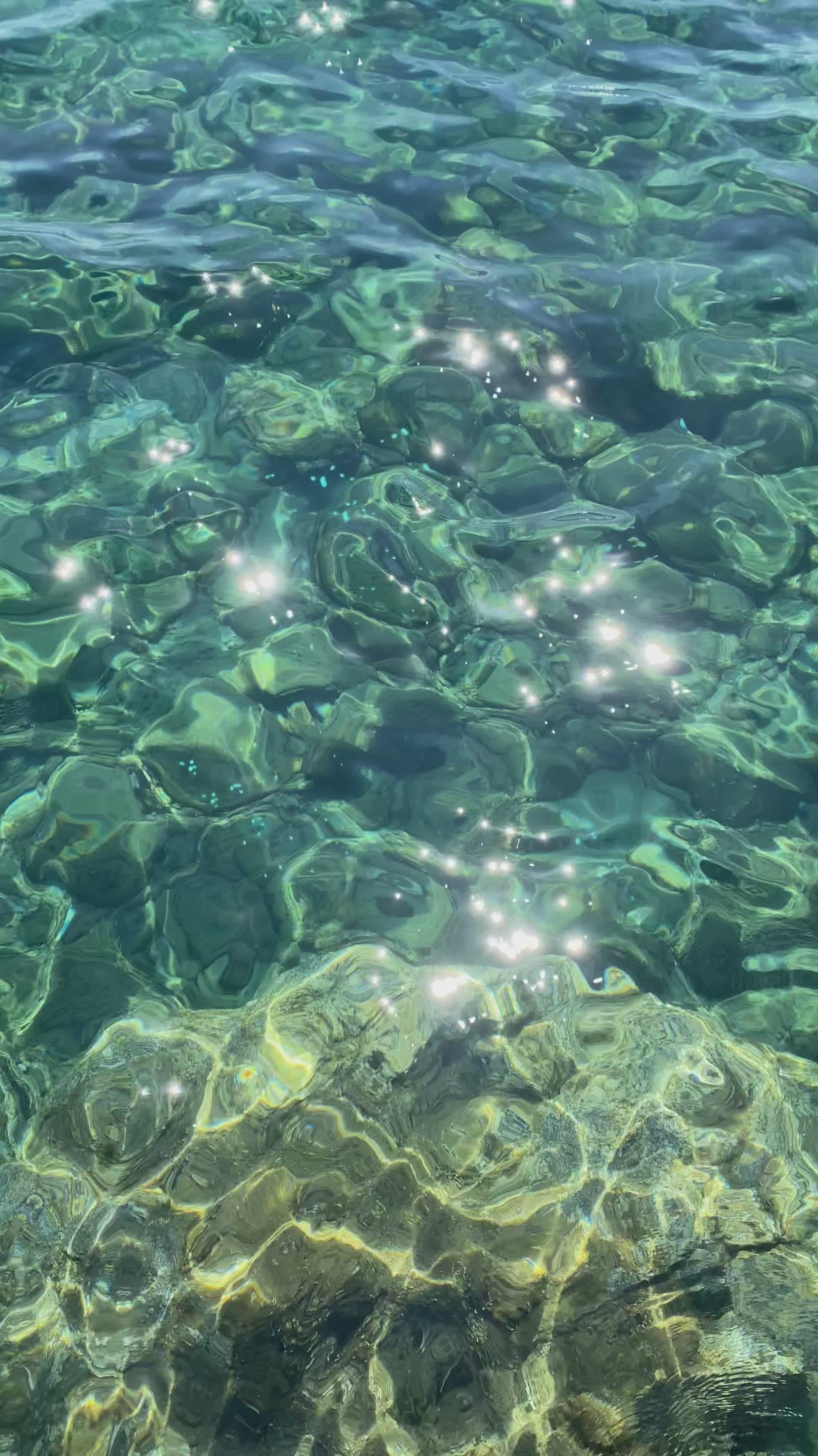 Video by Seda Arslan 🇹🇷