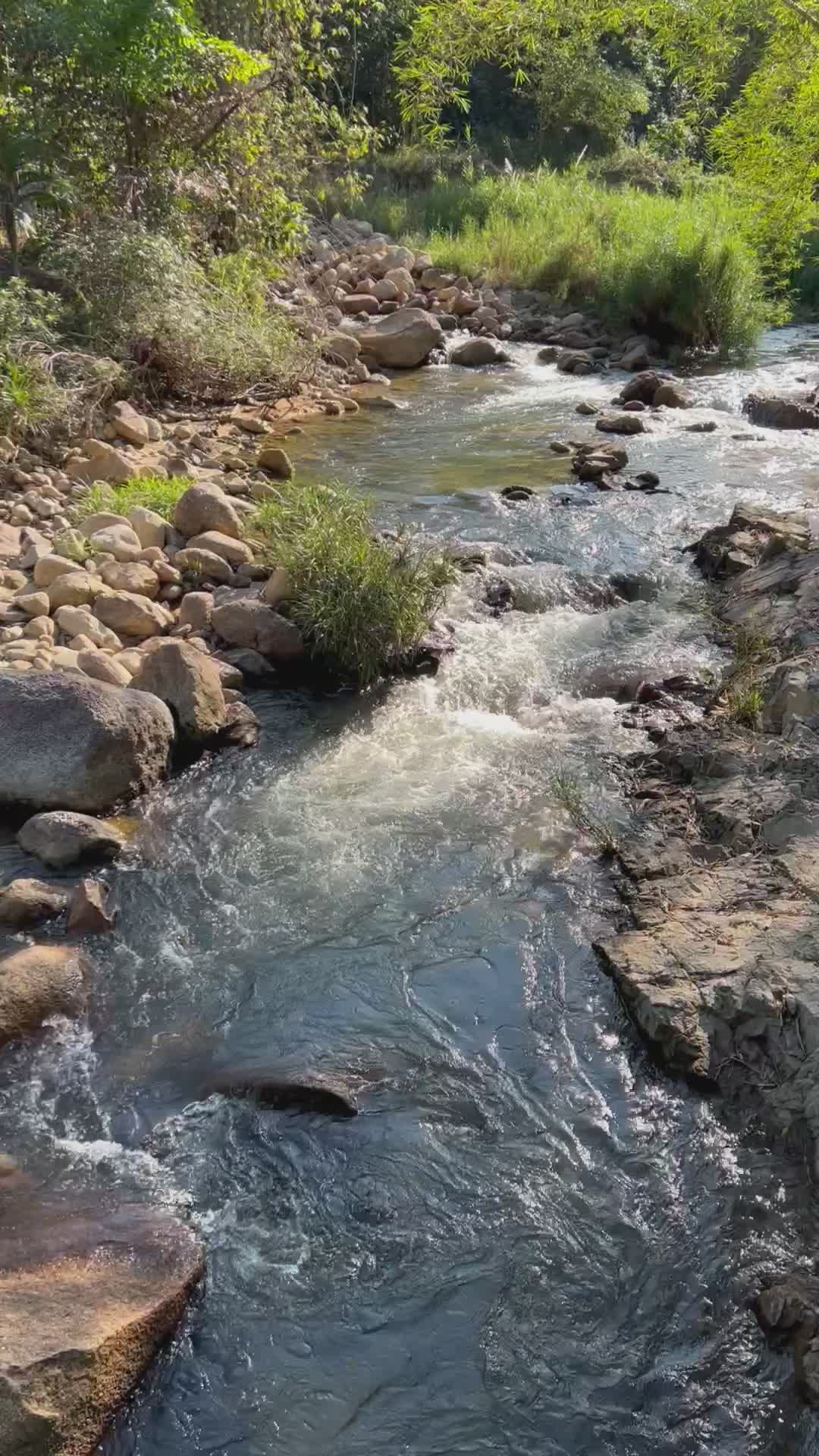 tranquil stream flowing over rocky terrain 36491633 — free pexels stock footage