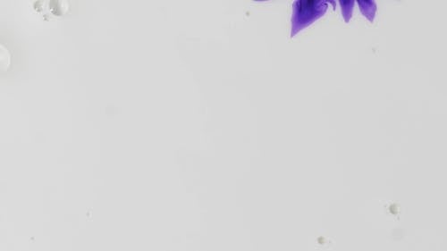 Droplets Of Purple Dye Placed In Water