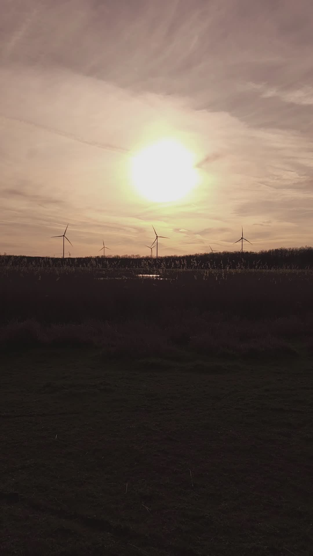Wind Turbines Silhouetted Against Sunset Sky Free Stock Video Footage ...