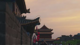 中国文化高清视频视频素材免费下载视频素材