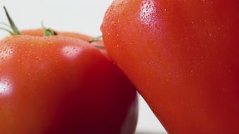 美食免费下载视频素材高清视频高清视频视频素材
