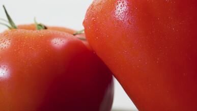 close up of fresh juicy tomatoes