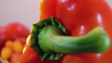 close up analysis of sweet pepper seeds