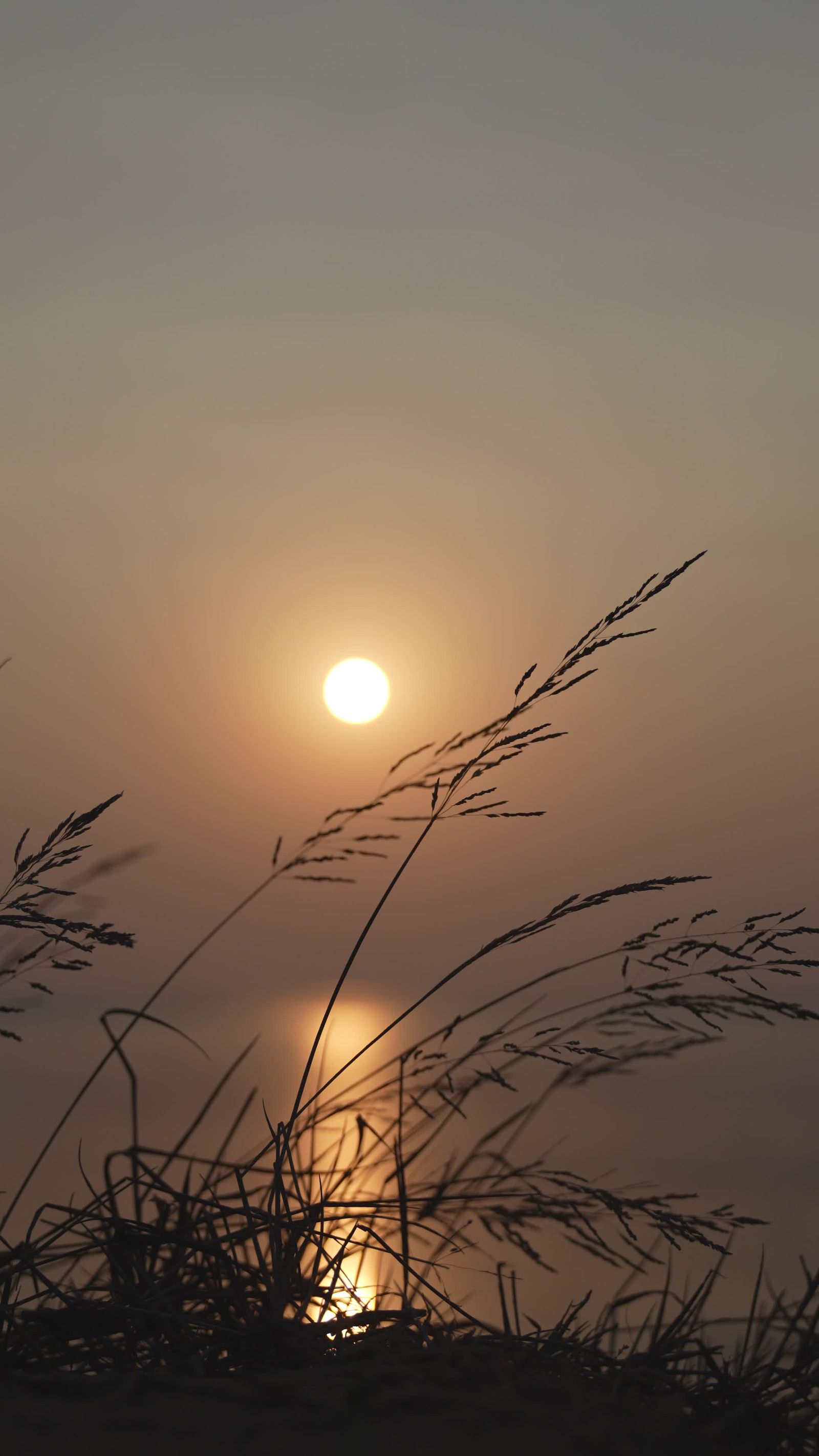 Serene Beach Sunset with Calm Reflection Free Stock Video Footage ...
