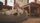 dog bed