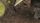 soil