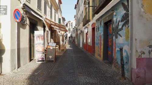 在葡萄牙马德拉岛的狭窄街道胡同的墙上的街头艺术绘画