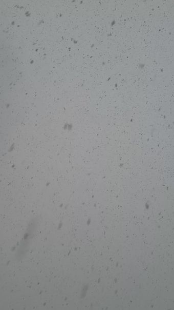 下雪高清视频视频素材视频素材