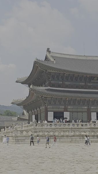 韩国免费下载视频素材