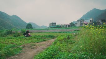 农村开电瓶视频素材