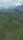 tea plantation