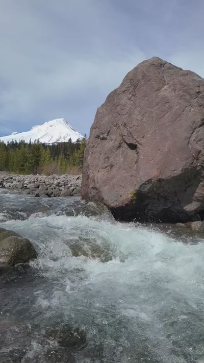 Galina MyFoxyWorld's nature timelapse video