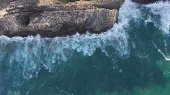 海免费下载视频素材