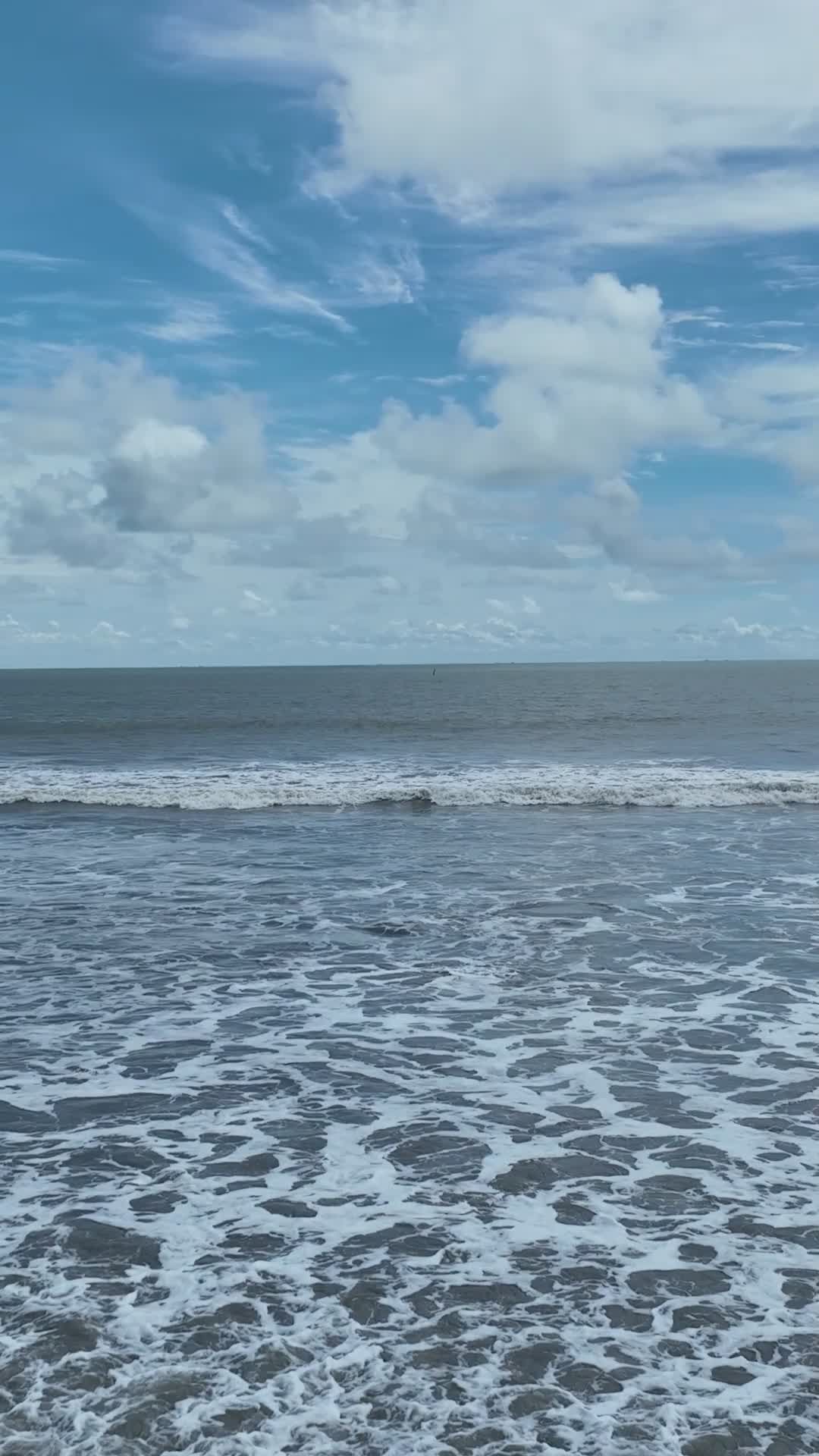 Pexels Video 36693296