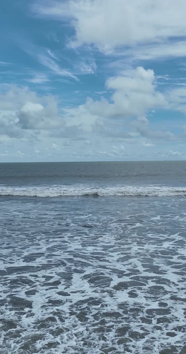 Pexels Video 36693296