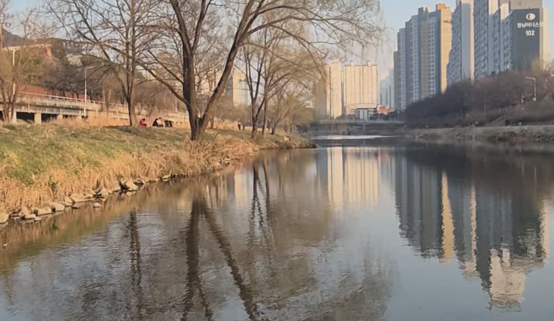 Urban Rivers Photography Urban River and Skyscrapers Reflection Free Stock Video Footage ...