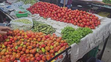 vibrant vegetable market scene