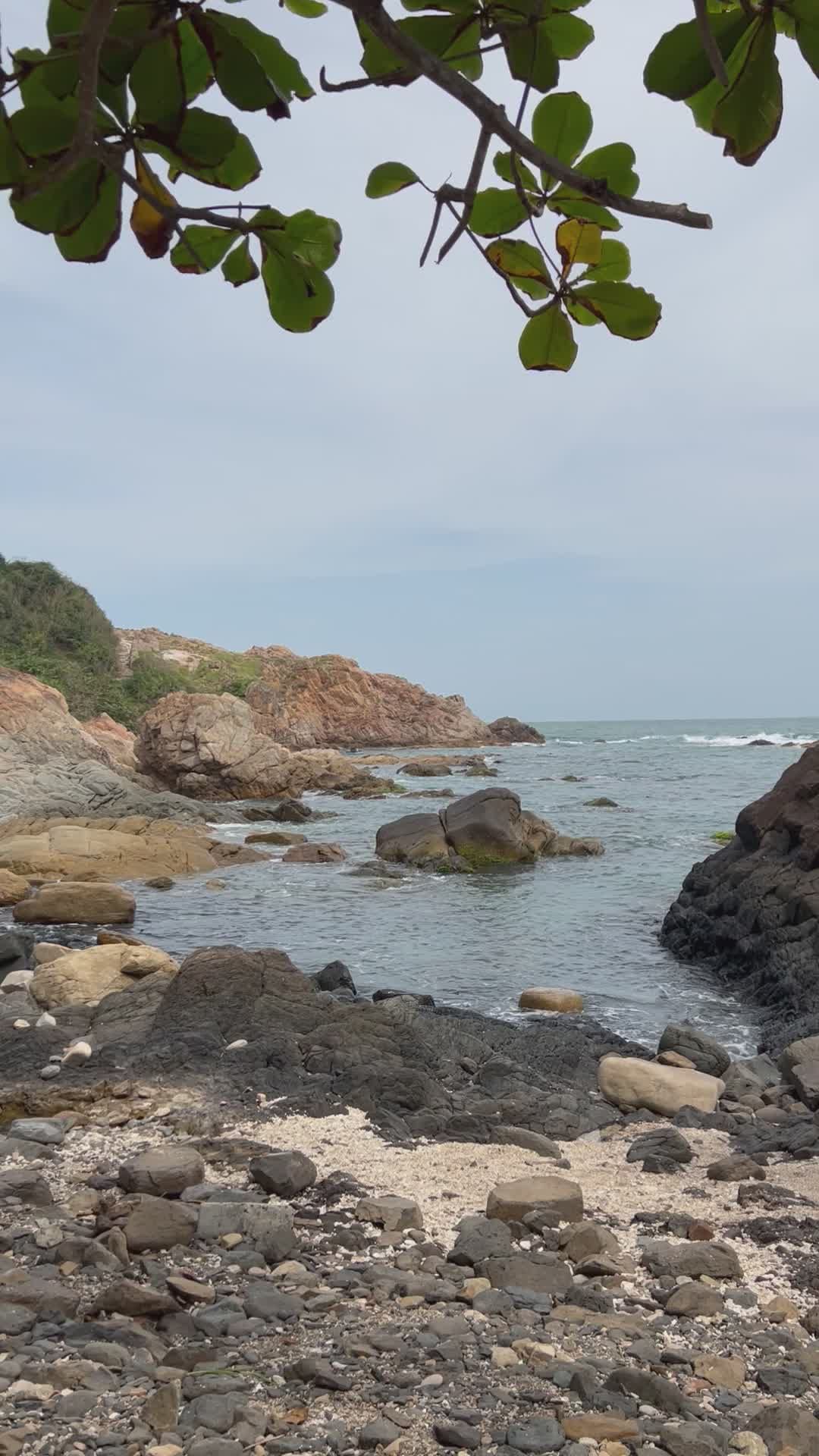 Playa Rocosa Panorámica Con Cielo Despejado · Vídeo de stock gratuito
