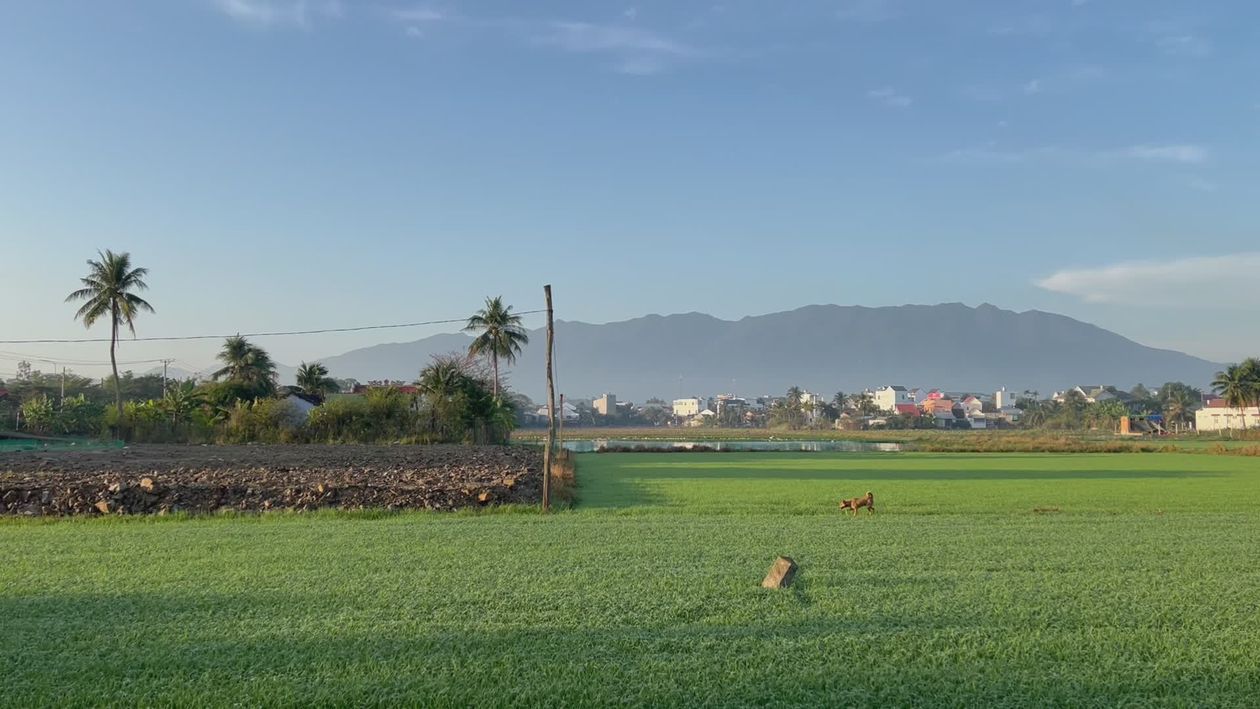 The Rural Channel Hd Scenic Rural Landscape with Distant Mountains Free Stock Video Footage ...