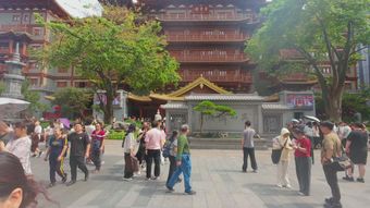 景区人流量视频素材视频素材