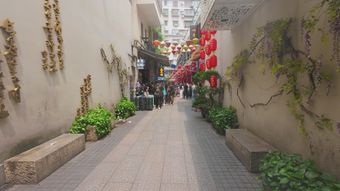 竖屏 中国 街视频素材