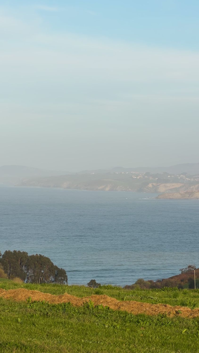 Scenic Coastal Landscape with Lush Greenery Free Stock Video Footage ...