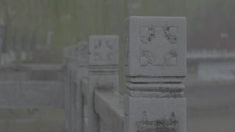 江南烟雨视频素材