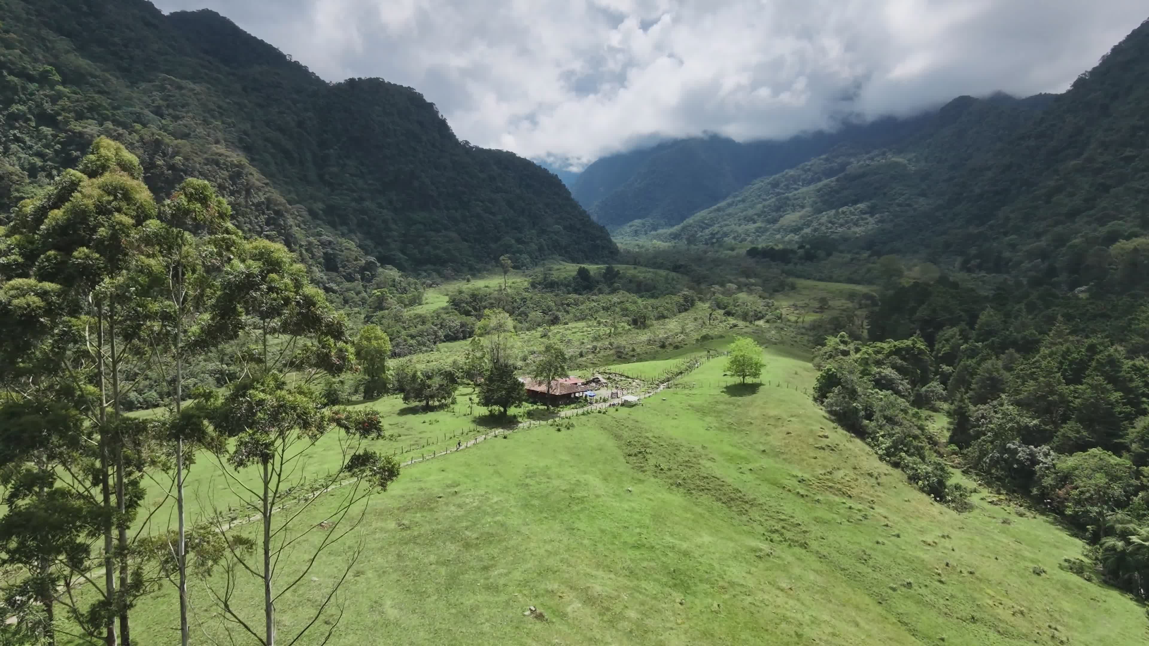 Video by Federico Molina