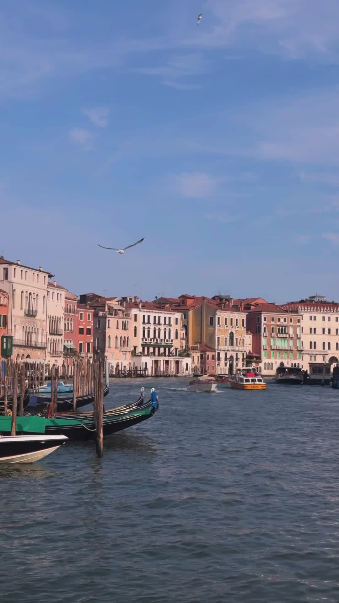 on the bucket list
📍 Venice Italy
🎥 Soicm · Pexels
#travel #europe #eurotrip #wanderlust #vacation