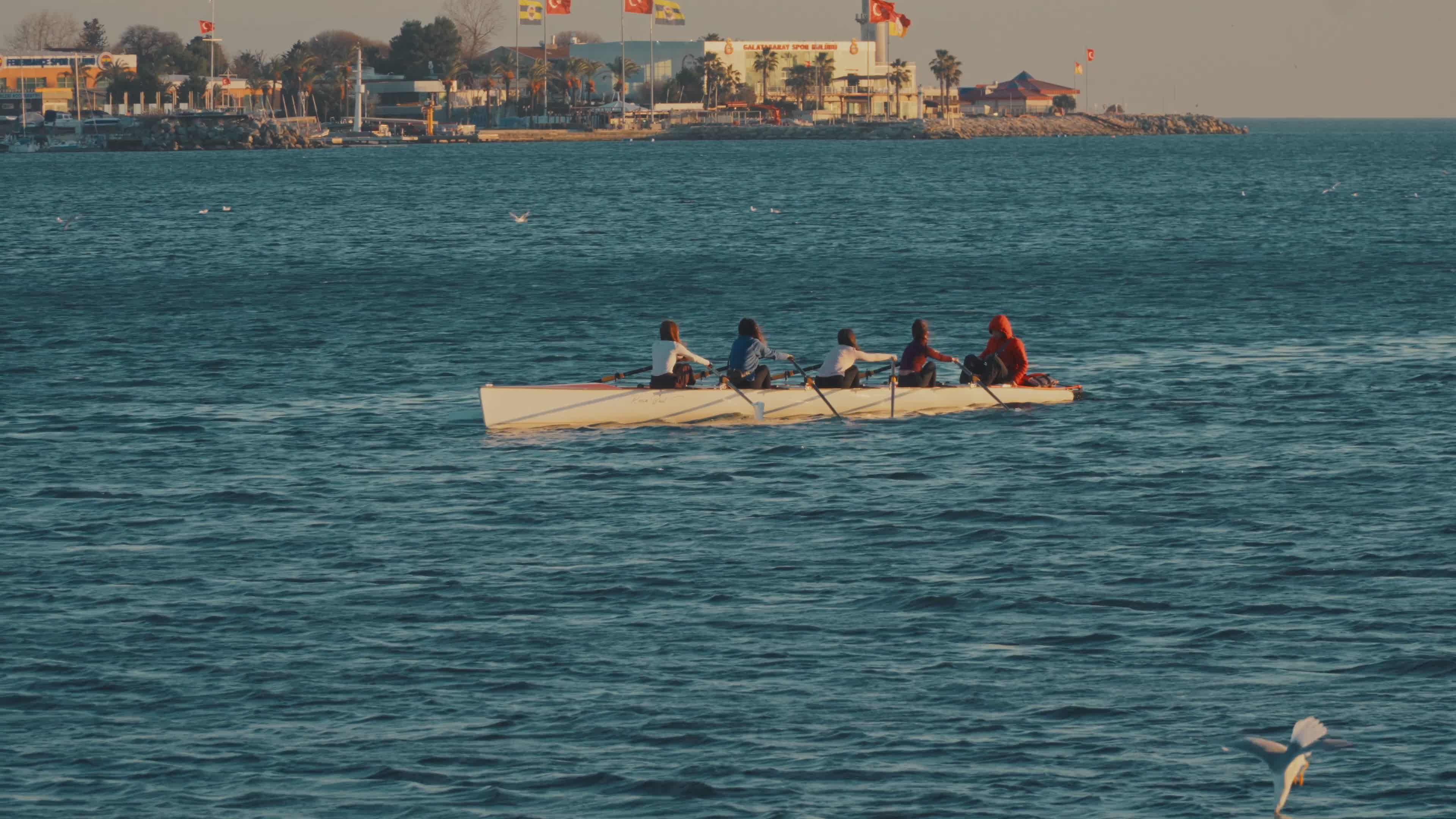 Team Rowing in Coastal Waters at Dusk Free Stock Video Footage, Royalty ...