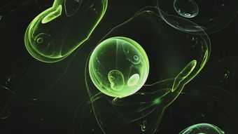 细胞免费下载免费下载高清视频视频素材