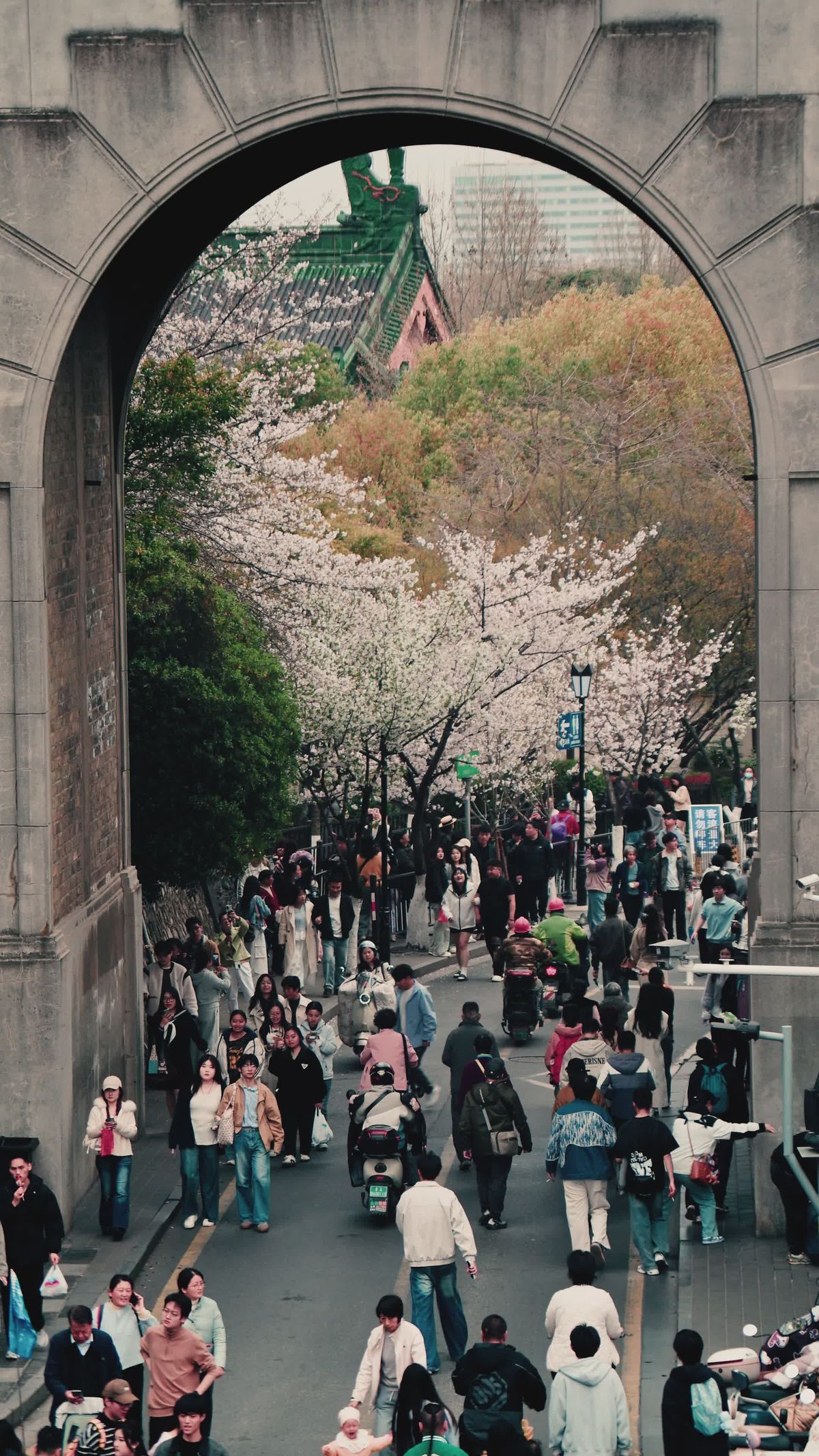 繁华城市门户：城市交通场景 · 免费素材视频