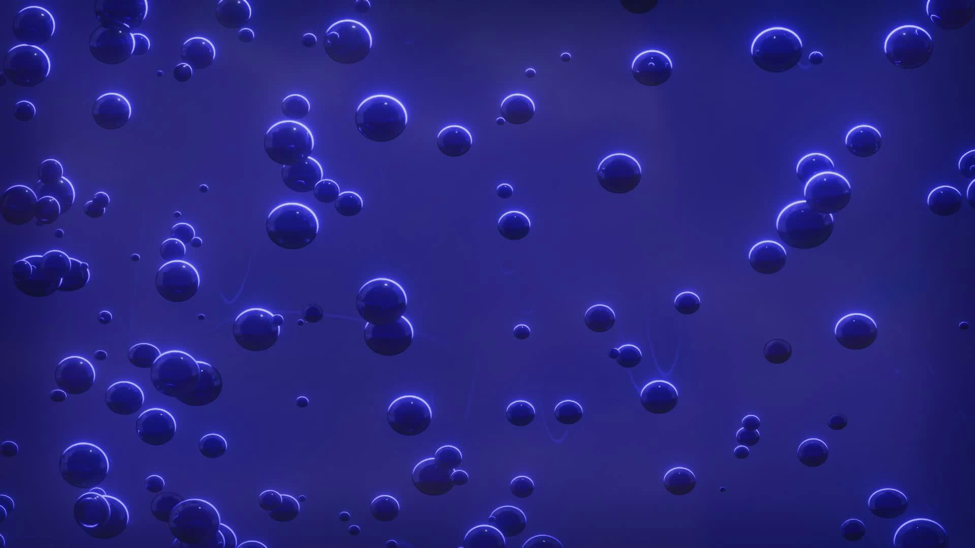 Video by Nicola Narracci
