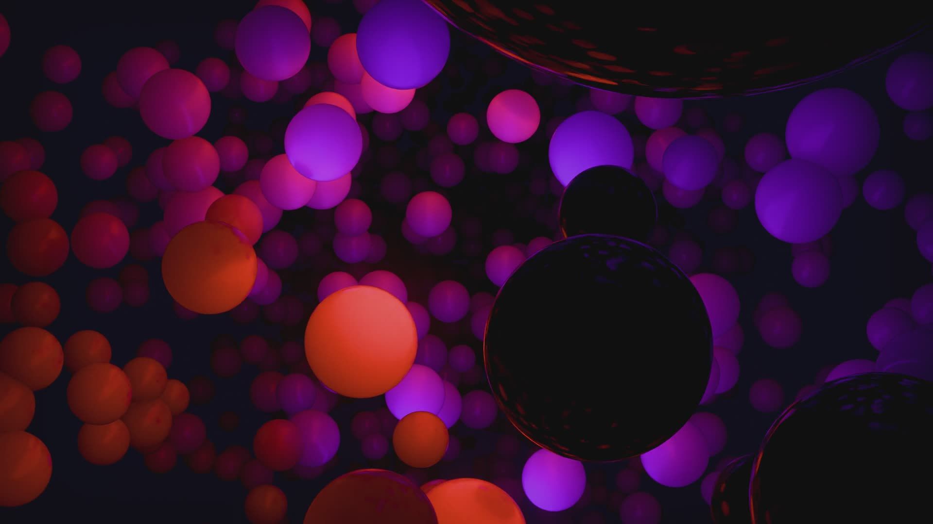 Video by Nicola Narracci
