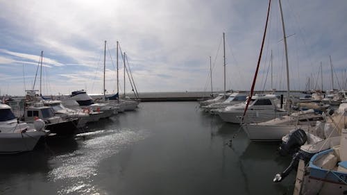 Docked Yachts