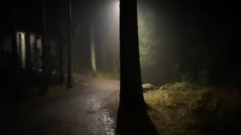 黑夜森林奔跑视频素材