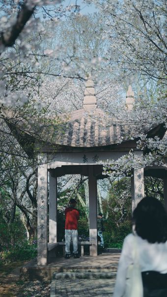 tea house视频素材