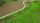 green fields