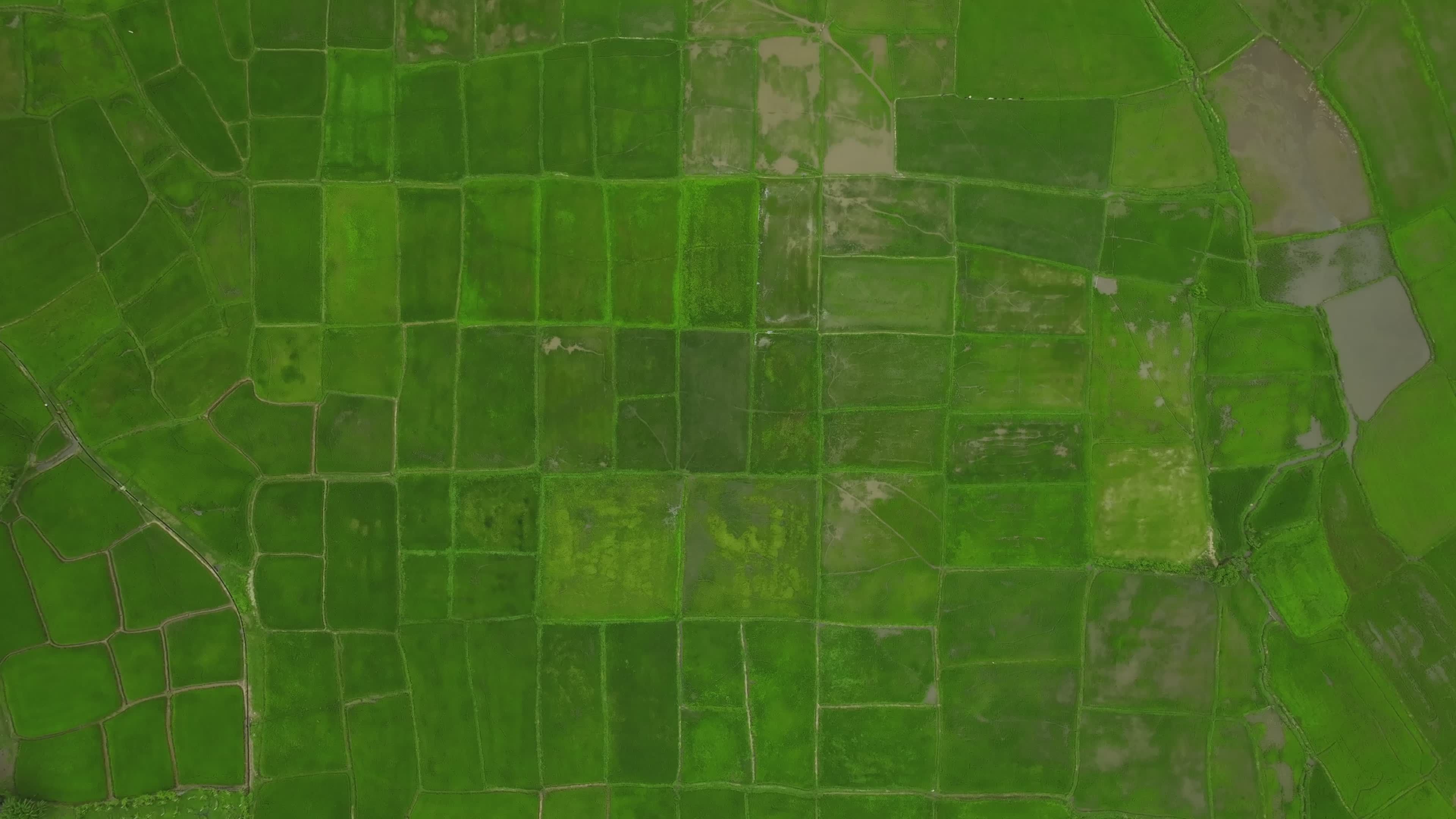Aerial View of Vibrant Green Farmland Fields Free Stock Video Footage ...