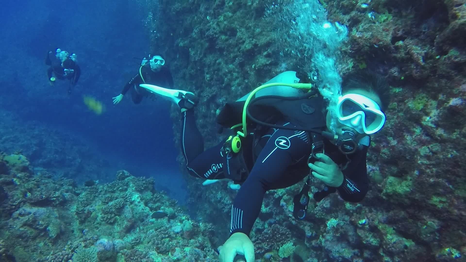 Scuba Divers Exploring Vibrant Coral Reefs Free Stock Video Footage ...