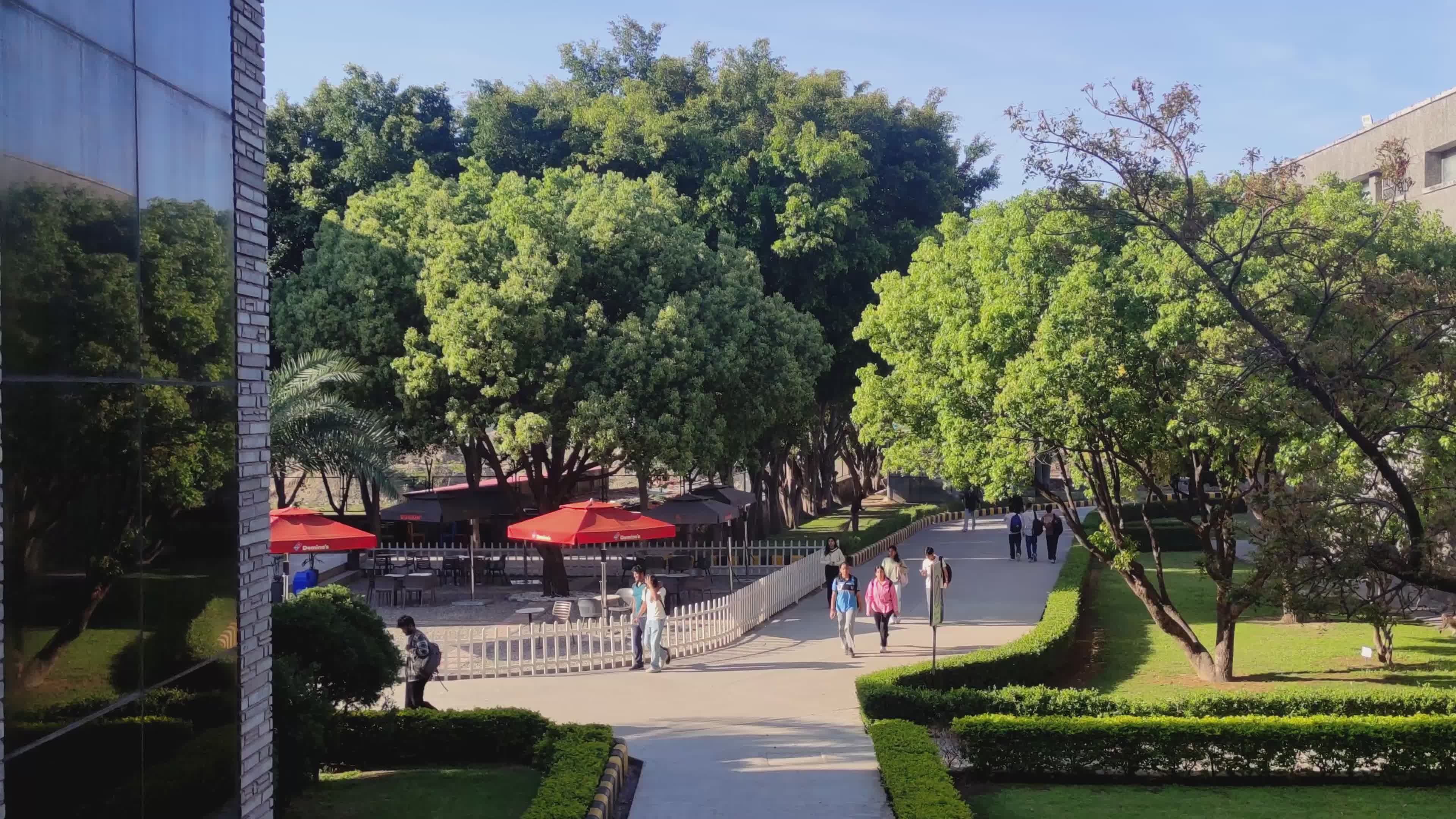 Vibrant Campus Walkway with Lush Greenery Free Stock Video Footage ...