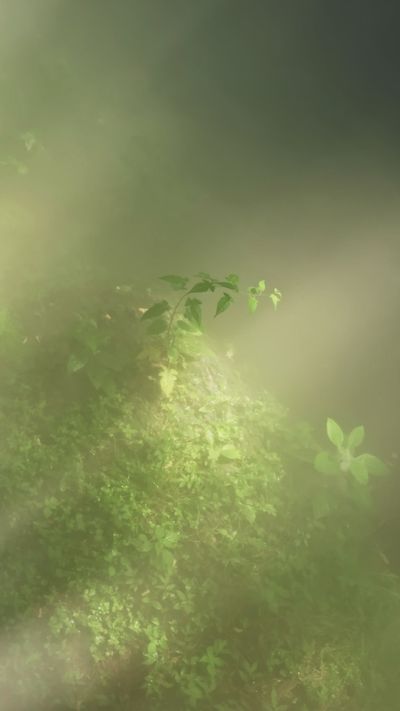 LIUKAI's fantasy landscape cinematic video
