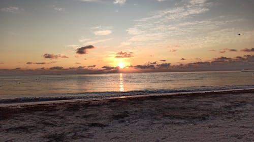 Guardando Il Tramonto E Le Onde In Spiaggia