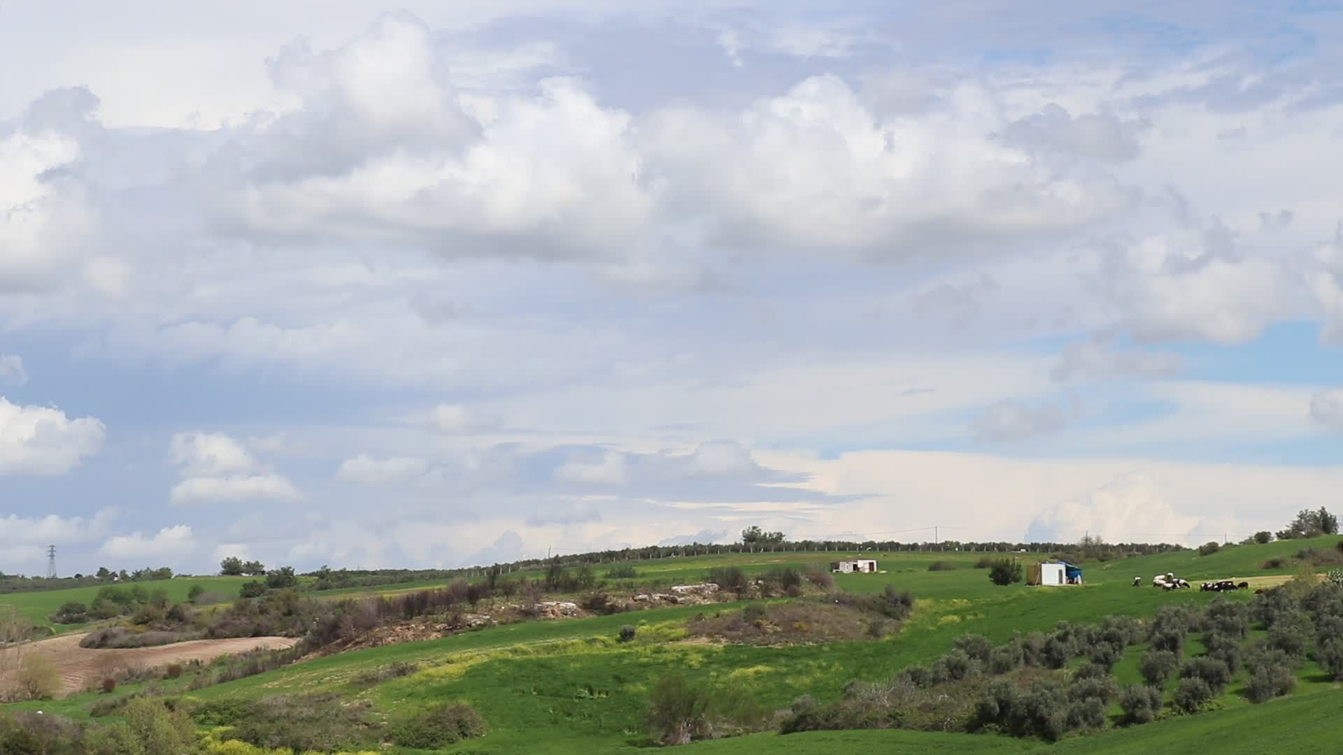 Video by Mehmet Aslan