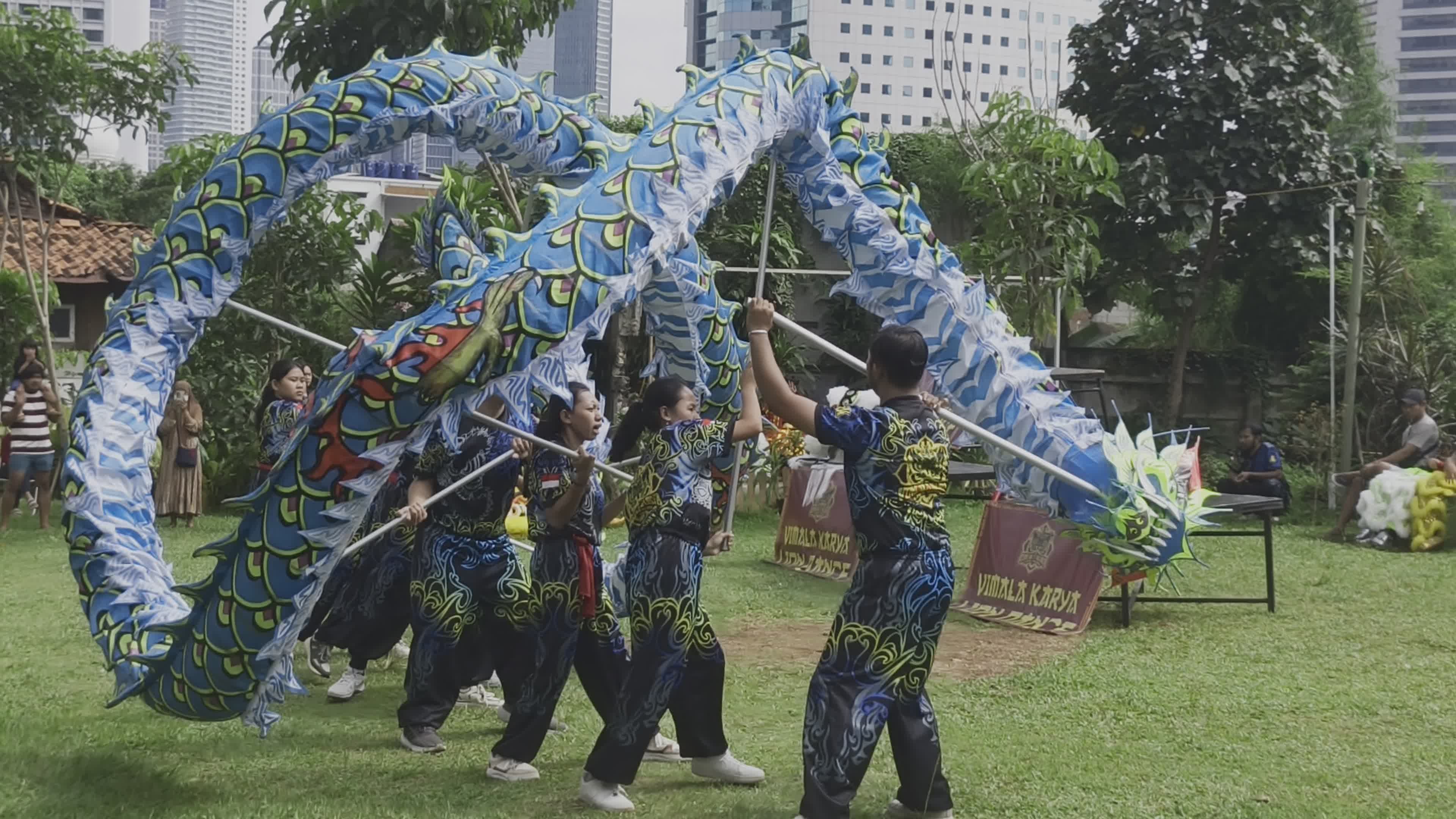 Vibrant Dragon Dance in Urban Park Setting Free Stock Video Footage ...