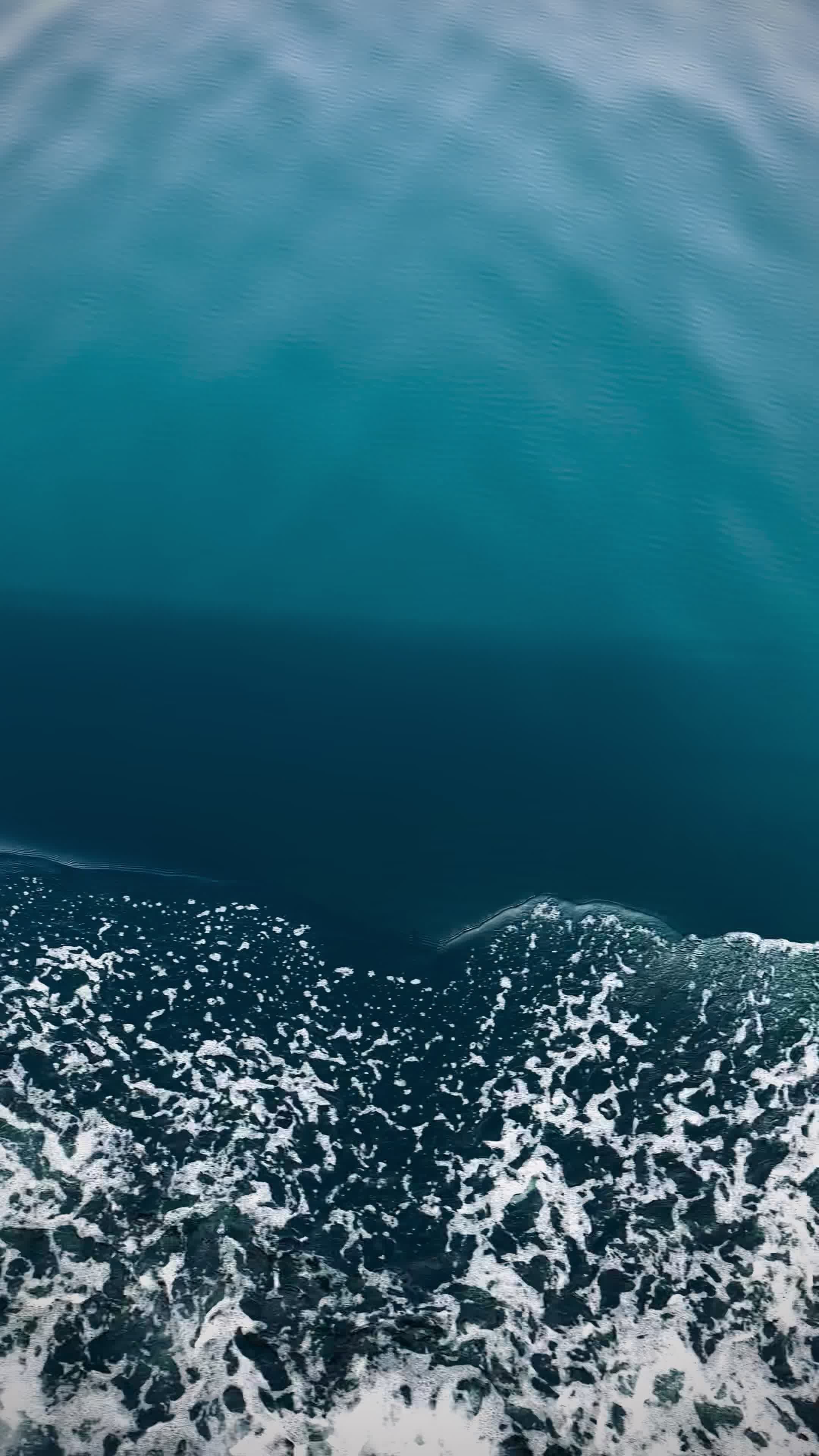 Video by Siarhei Nester
