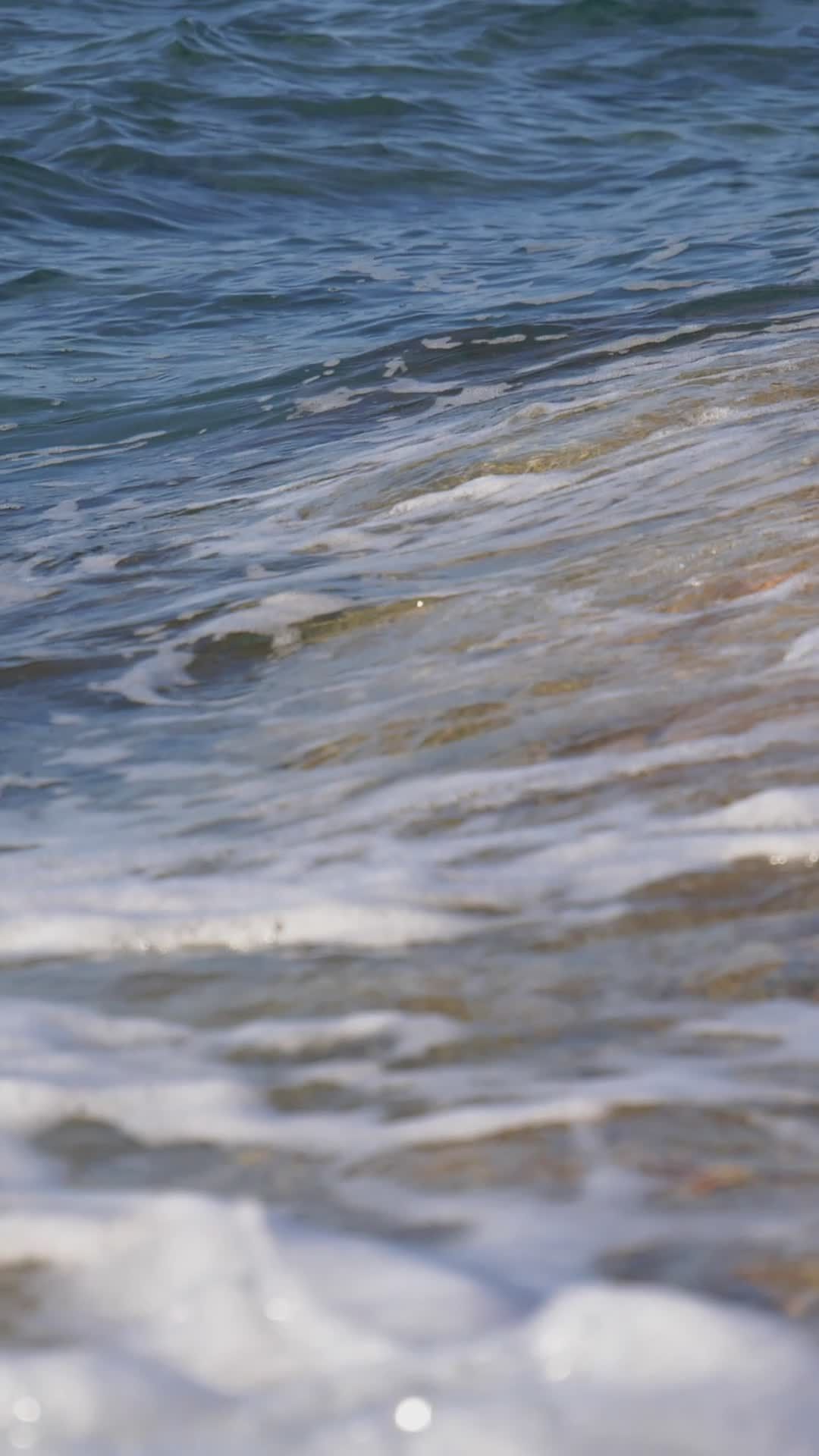 Video by Mario Krimer